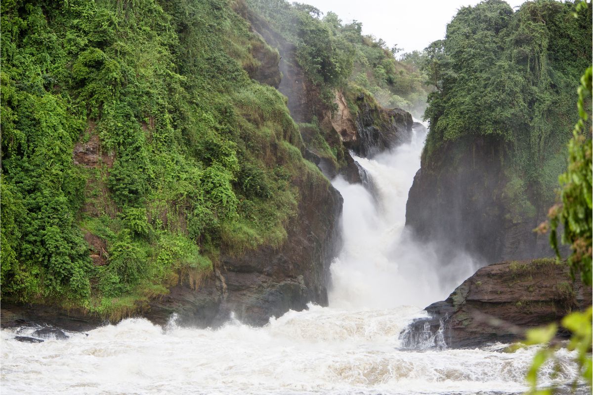 Murchison Falls Boat Cruise
