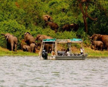 One Day Safari at Queen Elizabeth National Park