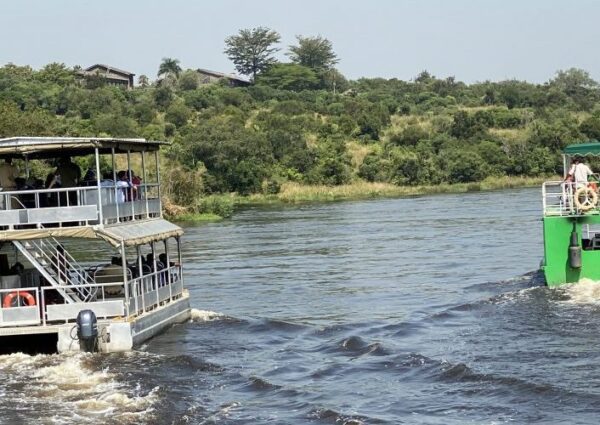 Murchison Falls Boat Cruise