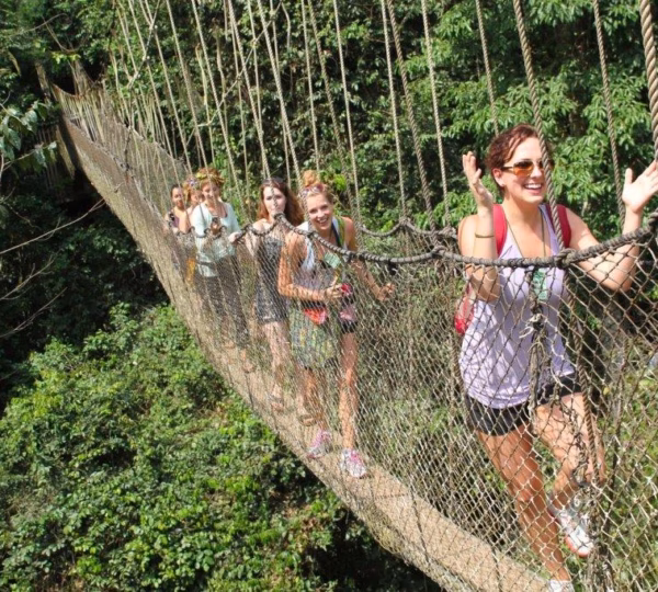 Canopy Walk in Nyungwe Forest National Park