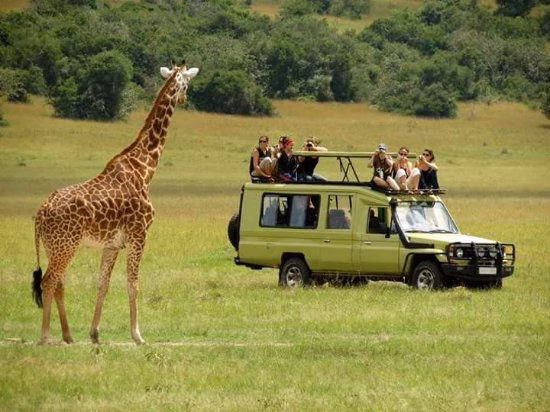 One Day Safari at Queen Elizabeth National Park